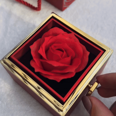 Eternal Rose Box with Engraved Necklace